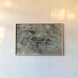 Mushroom Chronicles III by Nathan Larson. shown as a paper print in a natural frame. Available as a archival giclee rolled canvas, fine art paper, or poster print. SKU 103464i.