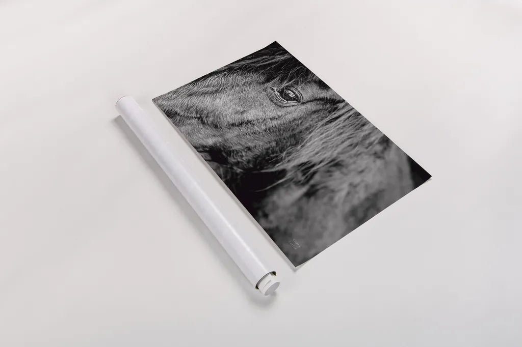 Mustang by Nathan Larson. shown as a rolled paper print. Available as archival giclee rolled canvas, fine art paper, or poster print. SKU 85769i.