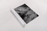 Mustang by Nathan Larson. shown as a rolled paper print. Available as archival giclee rolled canvas, fine art paper, or poster print. SKU 85769i.