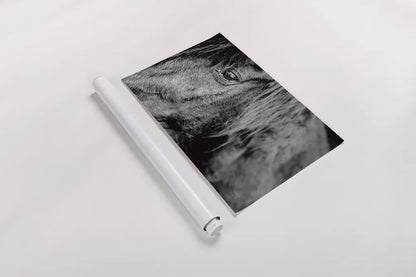 Mustang by Nathan Larson. shown as a rolled paper print. Available as archival giclee rolled canvas, fine art paper, or poster print. SKU 85769i.