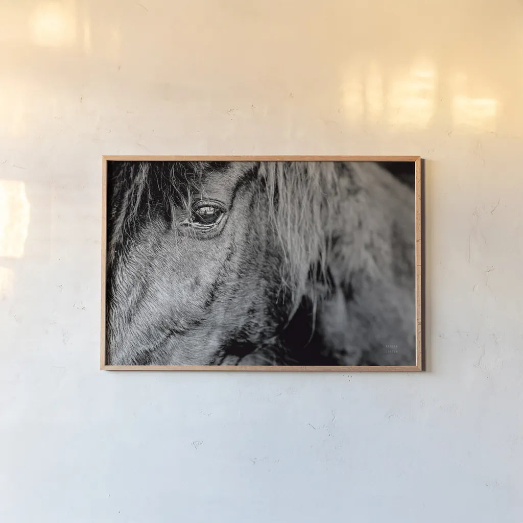Mustang by Nathan Larson. shown as a paper print in a natural frame. Available as a archival giclee rolled canvas, fine art paper, or poster print. SKU 85769i.