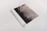 Mystery Wood I by Nathan Larson. shown as a rolled paper print. Available as archival giclee rolled canvas, fine art paper, or poster print. SKU 99777i.