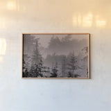 Mystery Wood II by Nathan Larson. shown as a paper print in a natural frame. Available as a archival giclee rolled canvas, fine art paper, or poster print. SKU 99778i.