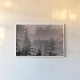 Mystery Wood II by Nathan Larson. shown as a paper print in a white frame. Available as a archival giclee rolled canvas, fine art paper, or poster print. SKU 99778i.