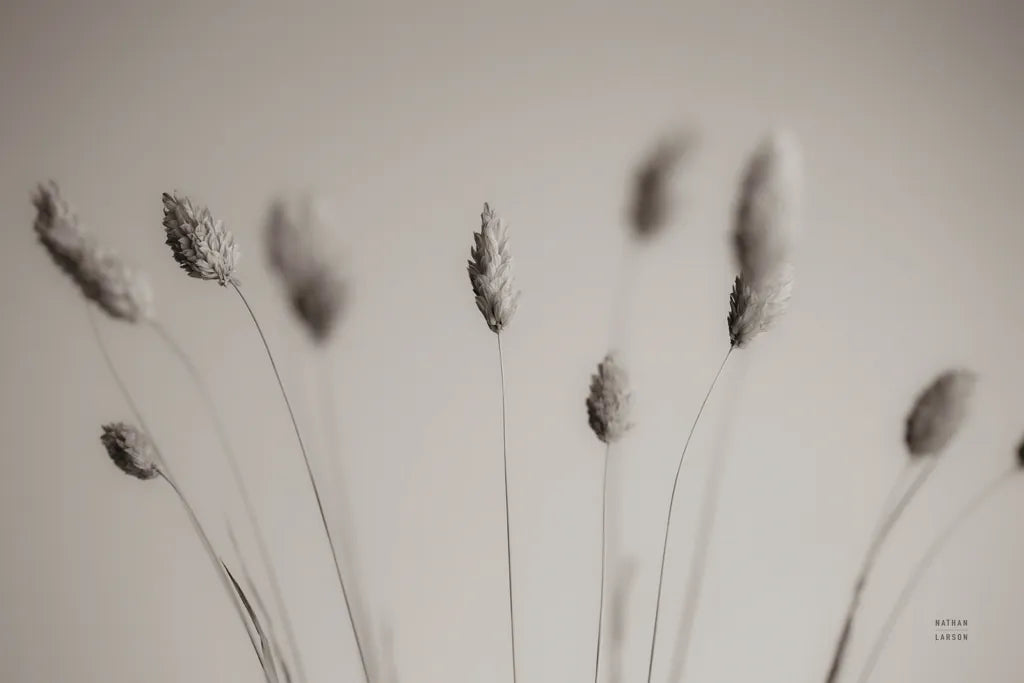 Natural Grasses by Nathan Larson. SKU 79425i. Archival Giclee Fine art print for wall decor.