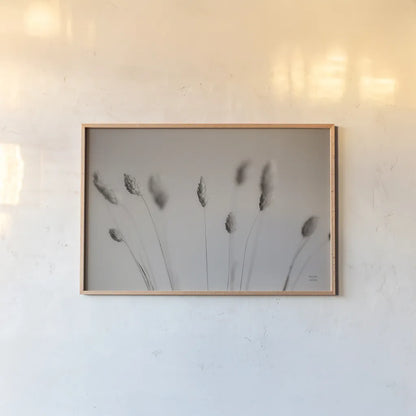 Natural Grasses by Nathan Larson. shown as a paper print in a natural frame. Available as a archival giclee rolled canvas, fine art paper, or poster print. SKU 79425i.