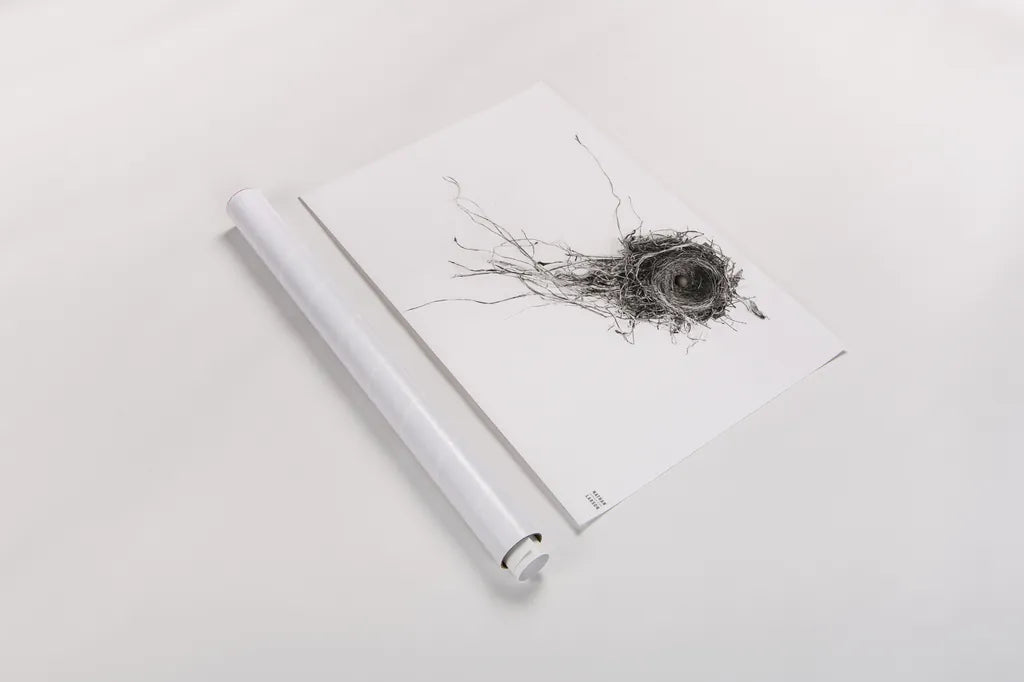 Nest Released by Nathan Larson. shown as a rolled paper print. Available as archival giclee rolled canvas, fine art paper, or poster print. SKU 99379i.