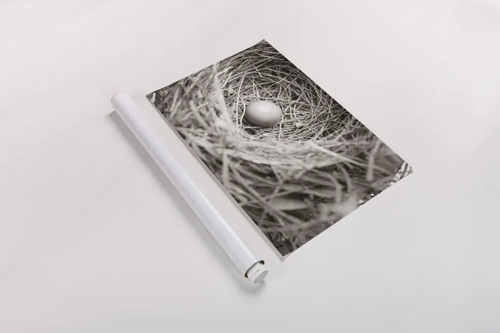 Nesting by Nathan Larson. shown as a rolled paper print. Available as archival giclee rolled canvas, fine art paper, or poster print. SKU 87634i.