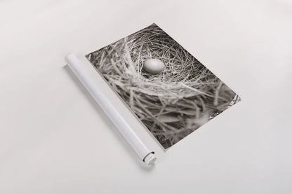 Nesting by Nathan Larson. shown as a rolled paper print. Available as archival giclee rolled canvas, fine art paper, or poster print. SKU 87634i.