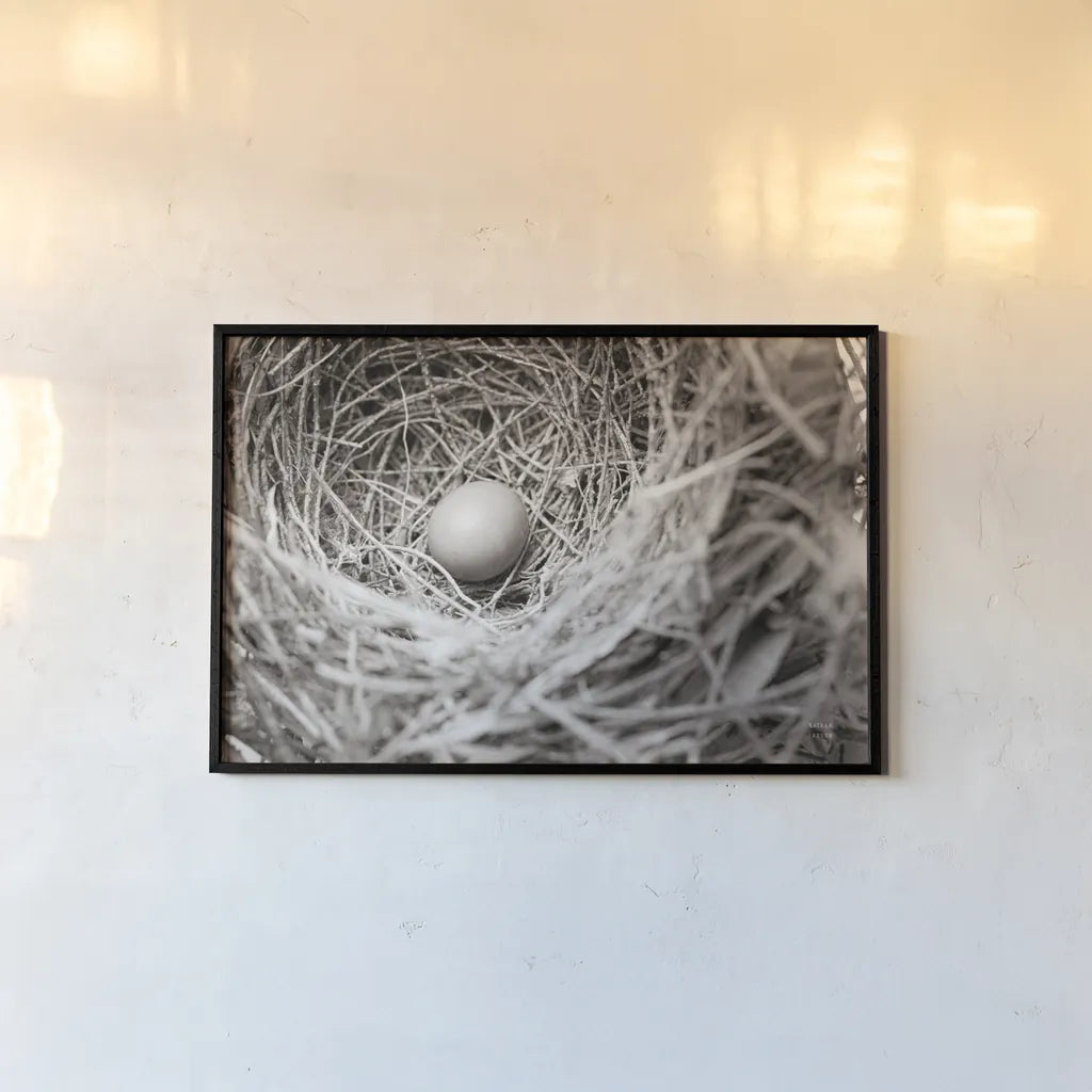 Nesting by Nathan Larson. shown as a paper print in a black flame. Available as a archival giclee rolled canvas, fine art paper, or poster print. SKU 87634i.