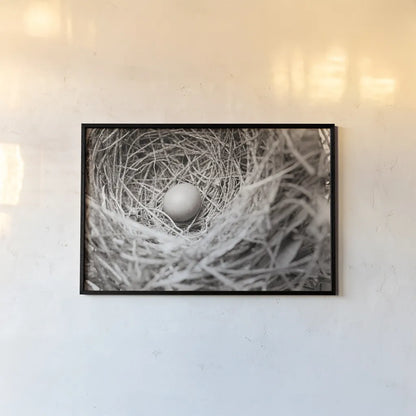 Nesting by Nathan Larson. shown as a paper print in a black flame. Available as a archival giclee rolled canvas, fine art paper, or poster print. SKU 87634i.