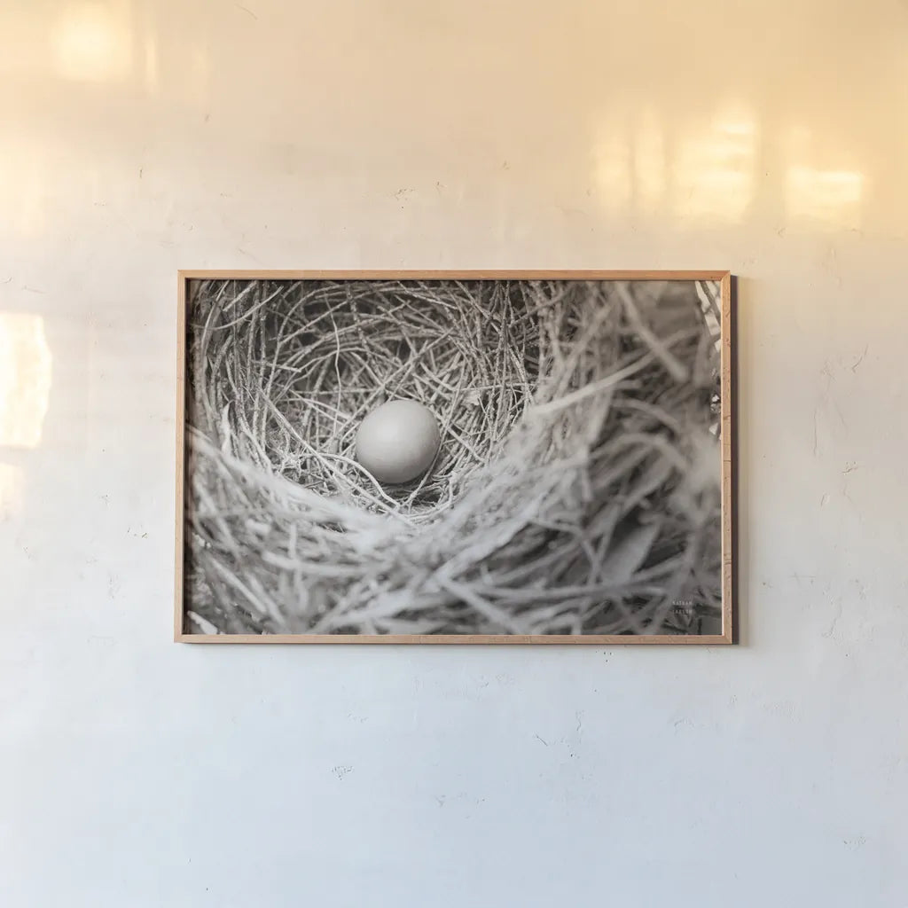 Nesting by Nathan Larson. shown as a paper print in a natural frame. Available as a archival giclee rolled canvas, fine art paper, or poster print. SKU 87634i.