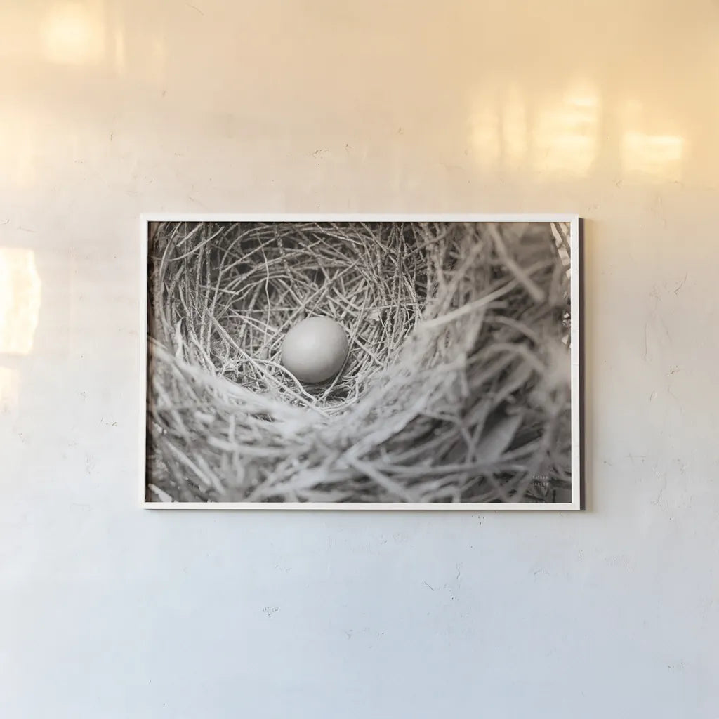 Nesting by Nathan Larson. shown as a paper print in a white frame. Available as a archival giclee rolled canvas, fine art paper, or poster print. SKU 87634i.