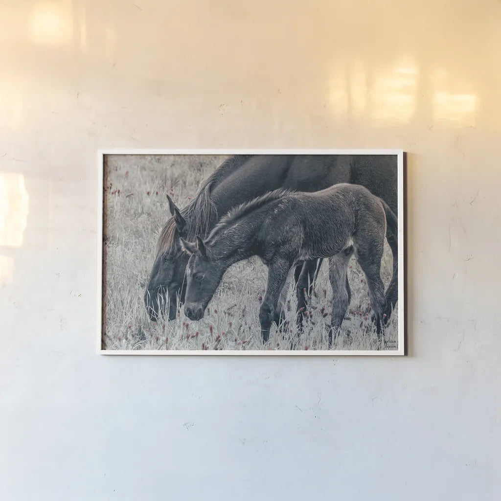 New Graze I by Nathan Larson. shown as a paper print in a white frame. Available as a archival giclee rolled canvas, fine art paper, or poster print. SKU 98714i.
