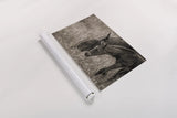 New Graze I Sepia by Nathan Larson. shown as a rolled paper print. Available as archival giclee rolled canvas, fine art paper, or poster print. SKU 98716i.