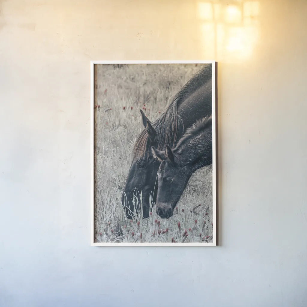 New Graze II by Nathan Larson. shown as a paper print in a white frame. Available as a archival giclee rolled canvas, fine art paper, or poster print. SKU 98715h.
