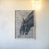 New Graze II by Nathan Larson. shown as a paper print in a white frame. Available as a archival giclee rolled canvas, fine art paper, or poster print. SKU 98715h.
