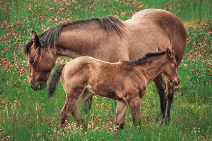 New Life by Nathan Larson. SKU 98712i. Archival Giclee Fine art print for wall decor.