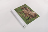 New Life by Nathan Larson. shown as a rolled paper print. Available as archival giclee rolled canvas, fine art paper, or poster print. SKU 98712i.