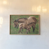 New Life by Nathan Larson. shown as a paper print in a natural frame. Available as a archival giclee rolled canvas, fine art paper, or poster print. SKU 98712i.