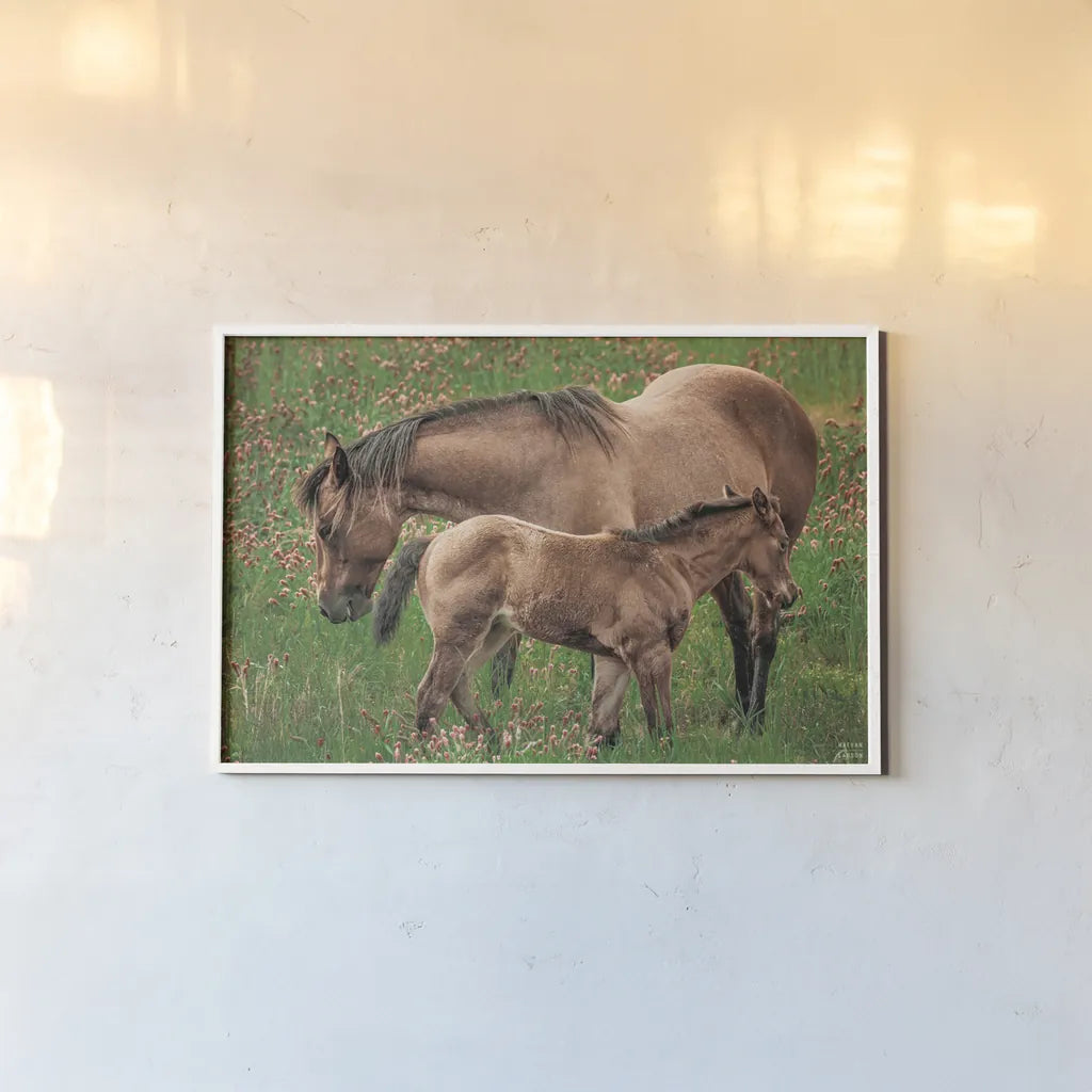 New Life by Nathan Larson. shown as a paper print in a white frame. Available as a archival giclee rolled canvas, fine art paper, or poster print. SKU 98712i.