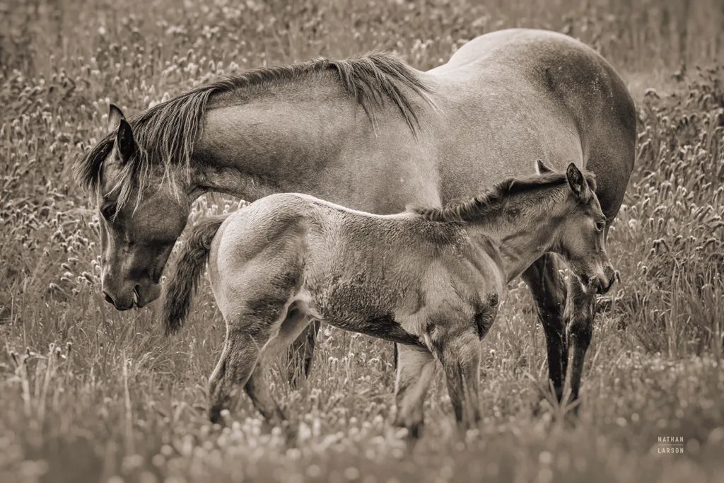 New Life Sepia by Nathan Larson. SKU 98713i. Archival Giclee Fine art print for wall decor.