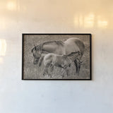 New Life Sepia by Nathan Larson. shown as a paper print in a black flame. Available as a archival giclee rolled canvas, fine art paper, or poster print. SKU 98713i.