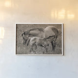 New Life Sepia by Nathan Larson. shown as a paper print in a white frame. Available as a archival giclee rolled canvas, fine art paper, or poster print. SKU 98713i.