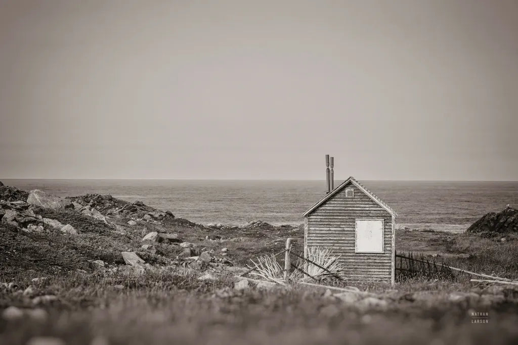 Newfoundland Historic Buildings Sepia by Nathan Larson. SKU 101668i. Archival Giclee Fine art print for wall decor.
