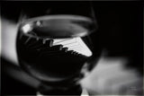Night Vibes BW by Nathan Larson. SKU 77342i. Archival Giclee Fine art print for wall decor.