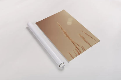 Noon Grasses I by Nathan Larson. shown as a rolled paper print. Available as archival giclee rolled canvas, fine art paper, or poster print. SKU 75735h.