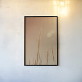 Noon Grasses I by Nathan Larson. shown as a paper print in a black flame. Available as a archival giclee rolled canvas, fine art paper, or poster print. SKU 75735h.