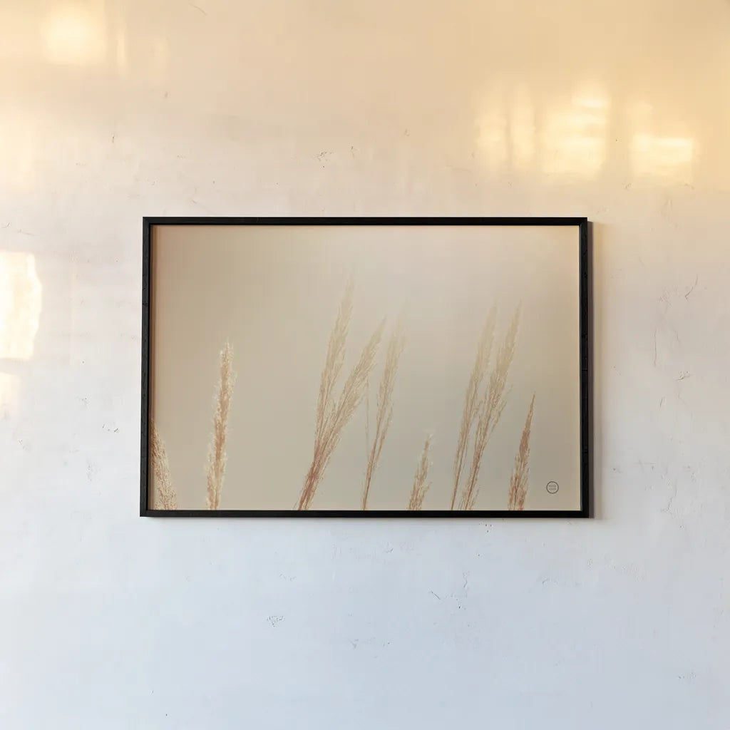 Noon Grasses II by Nathan Larson. shown as a paper print in a black flame. Available as a archival giclee rolled canvas, fine art paper, or poster print. SKU 75736i.