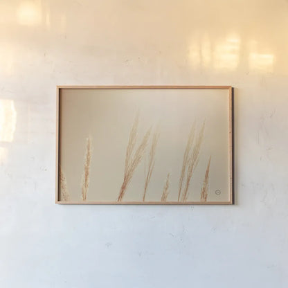 Noon Grasses II by Nathan Larson. shown as a paper print in a natural frame. Available as a archival giclee rolled canvas, fine art paper, or poster print. SKU 75736i.