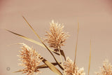 Noon Grasses III by Nathan Larson. SKU 75737i. Archival Giclee Fine art print for wall decor.