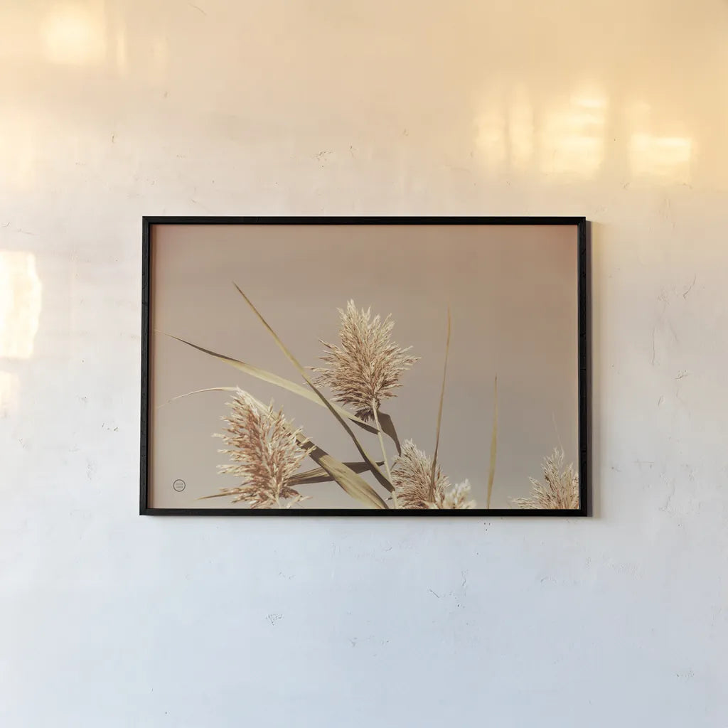 Noon Grasses III by Nathan Larson. shown as a paper print in a black flame. Available as a archival giclee rolled canvas, fine art paper, or poster print. SKU 75737i.