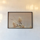 Noon Grasses III by Nathan Larson. shown as a paper print in a black flame. Available as a archival giclee rolled canvas, fine art paper, or poster print. SKU 75737i.