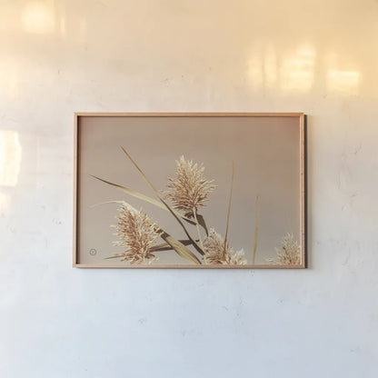 Noon Grasses III by Nathan Larson. shown as a paper print in a natural frame. Available as a archival giclee rolled canvas, fine art paper, or poster print. SKU 75737i.