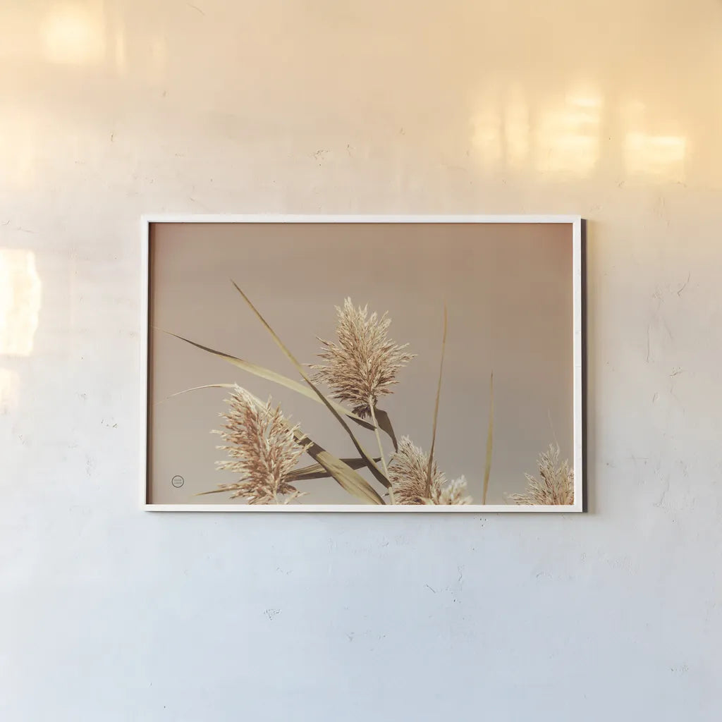 Noon Grasses III by Nathan Larson. shown as a paper print in a white frame. Available as a archival giclee rolled canvas, fine art paper, or poster print. SKU 75737i.