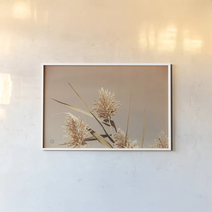 Noon Grasses III by Nathan Larson. shown as a paper print in a white frame. Available as a archival giclee rolled canvas, fine art paper, or poster print. SKU 75737i.