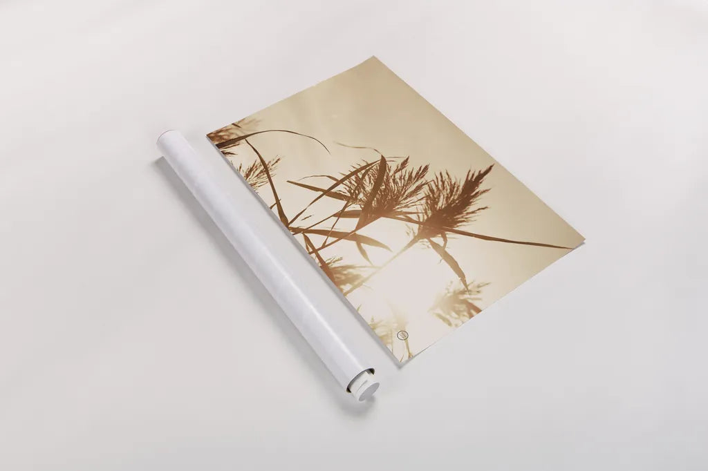 Noon Grasses IV by Nathan Larson. shown as a rolled paper print. Available as archival giclee rolled canvas, fine art paper, or poster print. SKU 75738i.