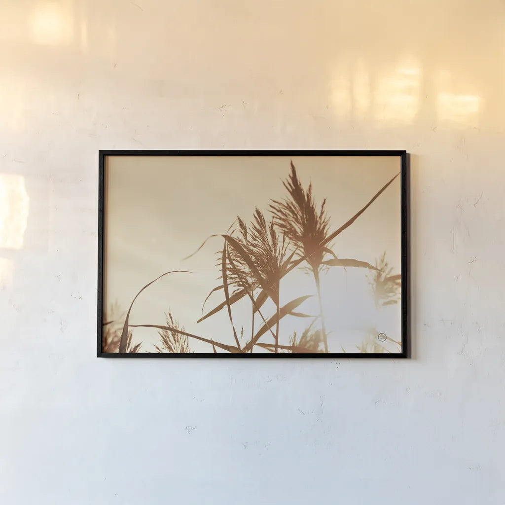 Noon Grasses IV by Nathan Larson. shown as a paper print in a black flame. Available as a archival giclee rolled canvas, fine art paper, or poster print. SKU 75738i.