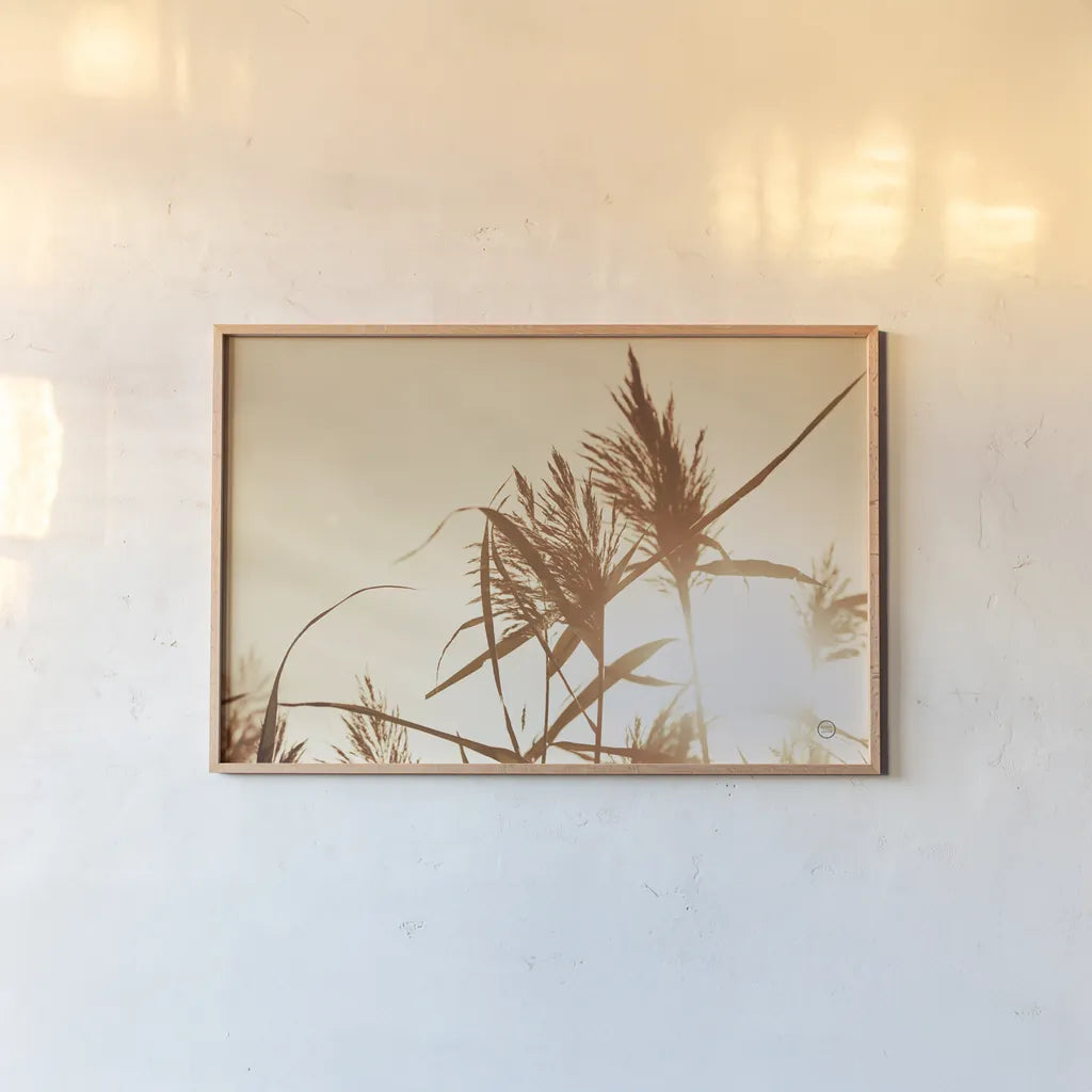Noon Grasses IV by Nathan Larson. shown as a paper print in a natural frame. Available as a archival giclee rolled canvas, fine art paper, or poster print. SKU 75738i.