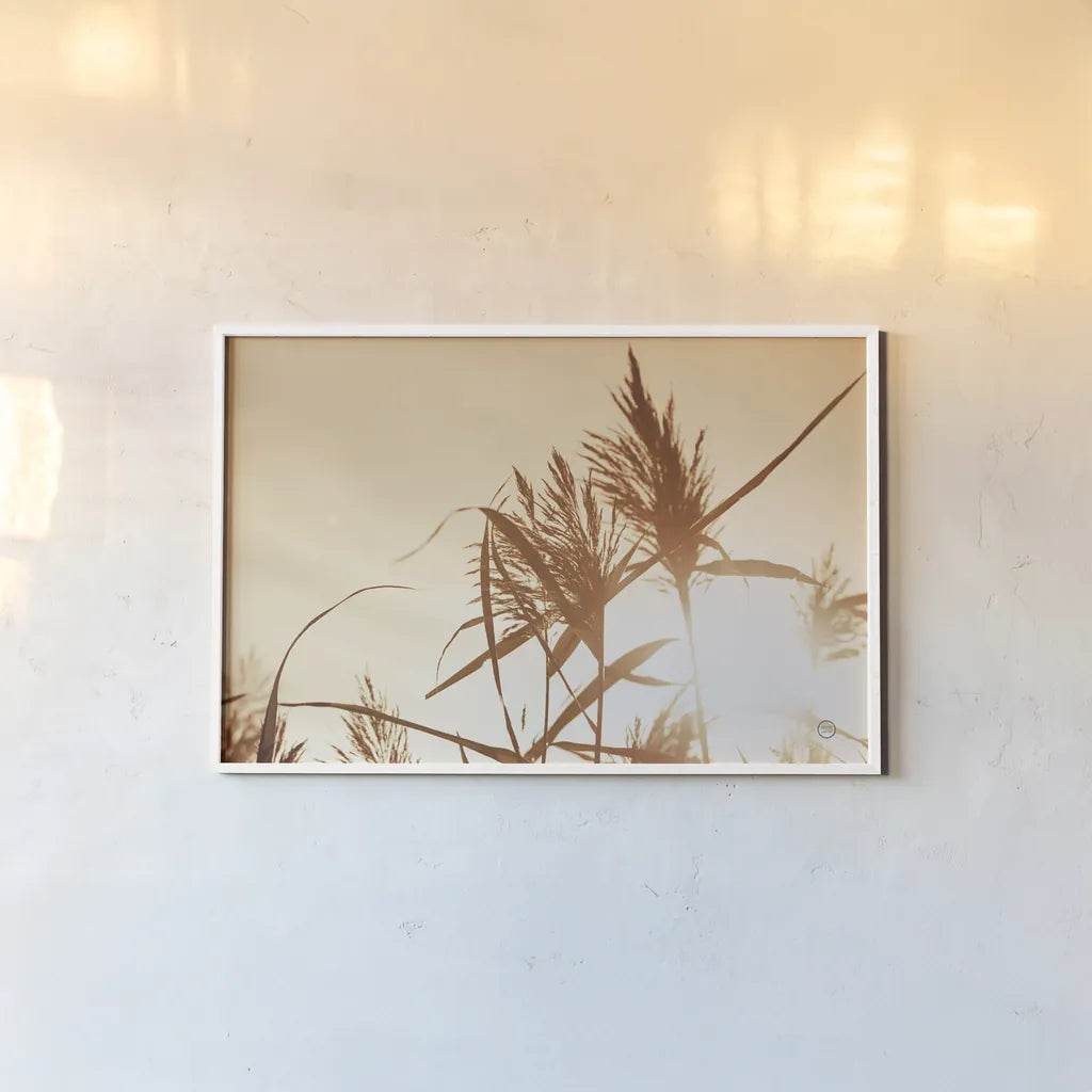 Noon Grasses IV by Nathan Larson. shown as a paper print in a white frame. Available as a archival giclee rolled canvas, fine art paper, or poster print. SKU 75738i.