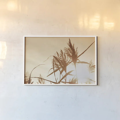 Noon Grasses IV by Nathan Larson. shown as a paper print in a white frame. Available as a archival giclee rolled canvas, fine art paper, or poster print. SKU 75738i.