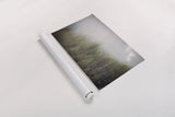 Northern Forests by Nathan Larson. shown as a rolled paper print. Available as archival giclee rolled canvas, fine art paper, or poster print. SKU 82412i.