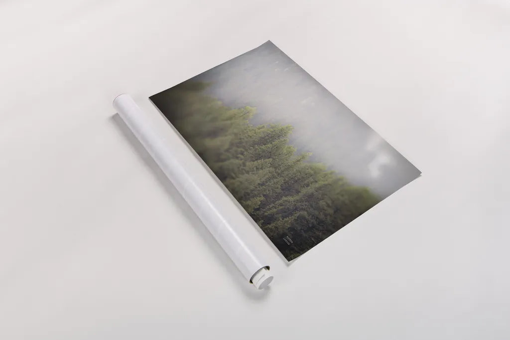 Northern Forests by Nathan Larson. shown as a rolled paper print. Available as archival giclee rolled canvas, fine art paper, or poster print. SKU 82412i.
