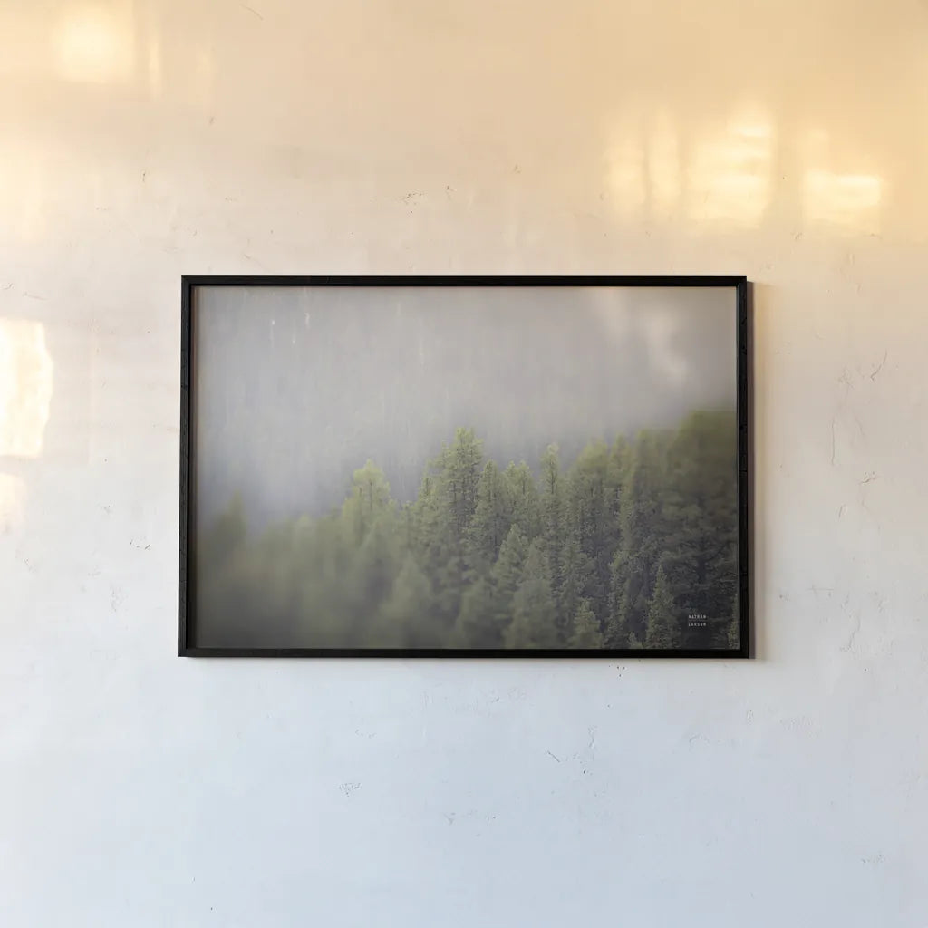 Northern Forests by Nathan Larson. shown as a paper print in a black flame. Available as a archival giclee rolled canvas, fine art paper, or poster print. SKU 82412i.