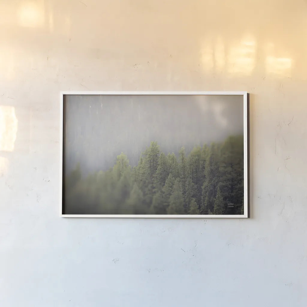 Northern Forests by Nathan Larson. shown as a paper print in a white frame. Available as a archival giclee rolled canvas, fine art paper, or poster print. SKU 82412i.