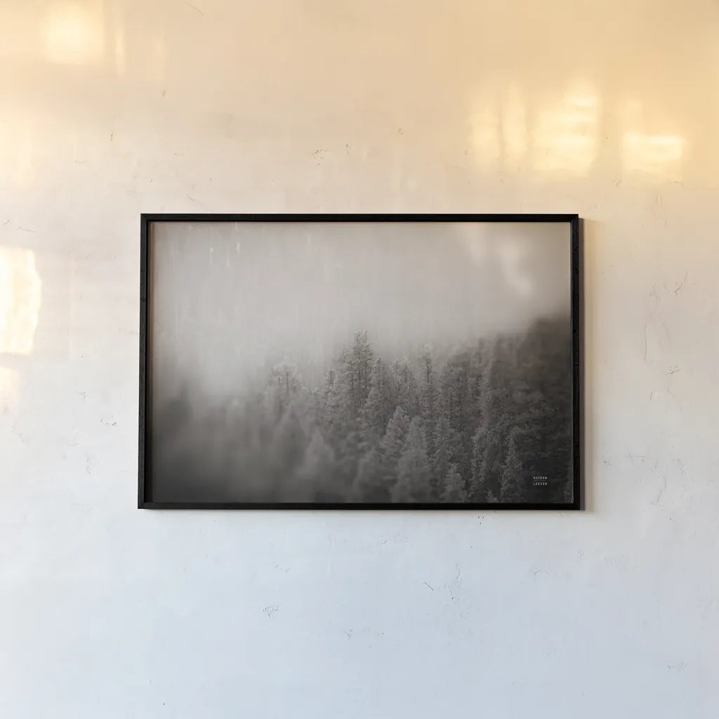 Northern Forests BW by Nathan Larson. shown as a paper print in a black flame. Available as a archival giclee rolled canvas, fine art paper, or poster print. SKU 82413i.